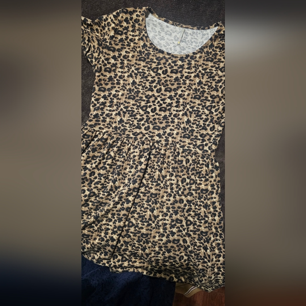 Leopard Print Mini Dress